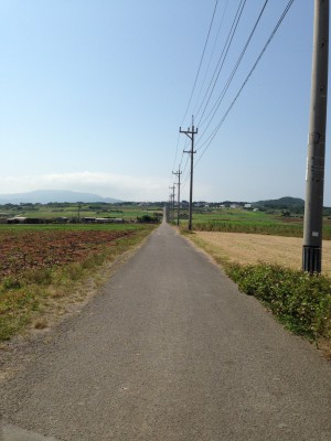 sugarroad